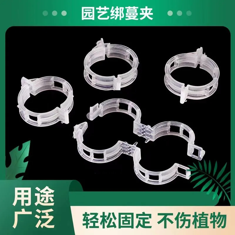 Vine Plant Fixing Clip Binding Vegetable Artifact Vine Clip Greenhouse Vegetable and Fruit Tree Fixer Fruit Green Plant Hanging Vine Clip