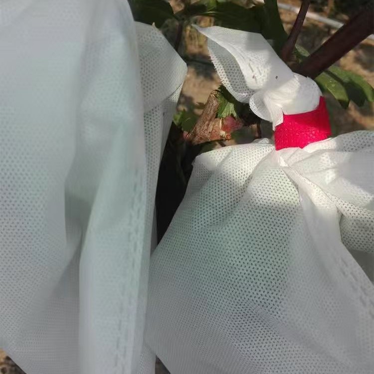 Open-air Tie-silk Non-woven Grape Bag Pomelo Pear Fruit Protection Bag Insect-proof Bird-proof Rain-proof Fruit Cover