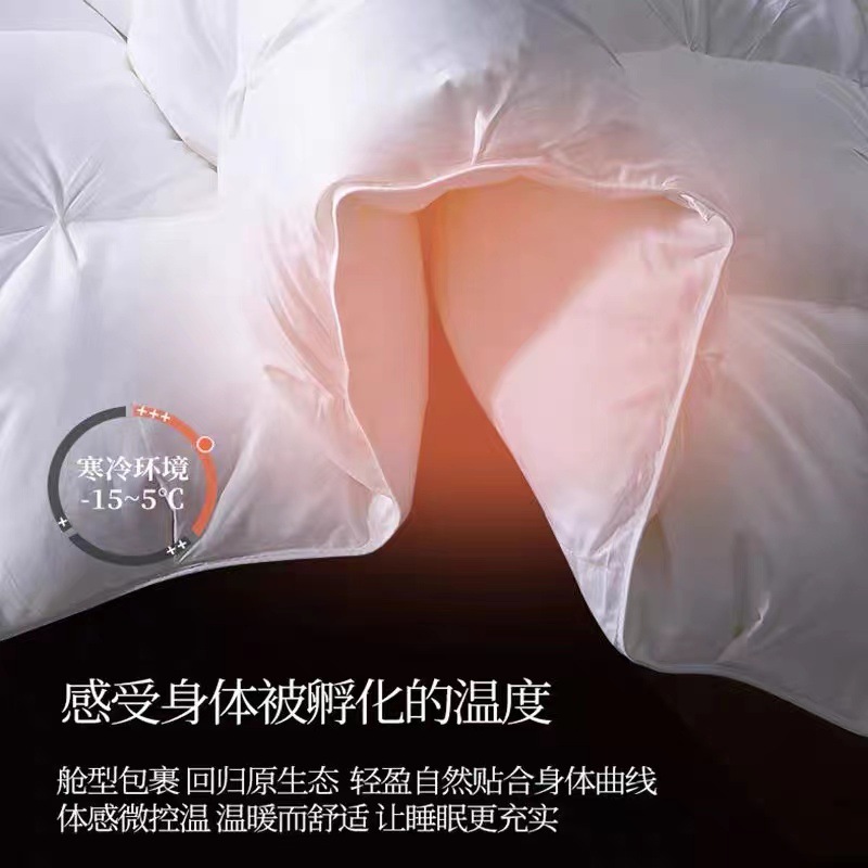 Hilton Five-Star Hotel Duvet 95 White Goose down Spring & Fall Quilt Core Winter Quilt Home Summer Quilt Wholesale