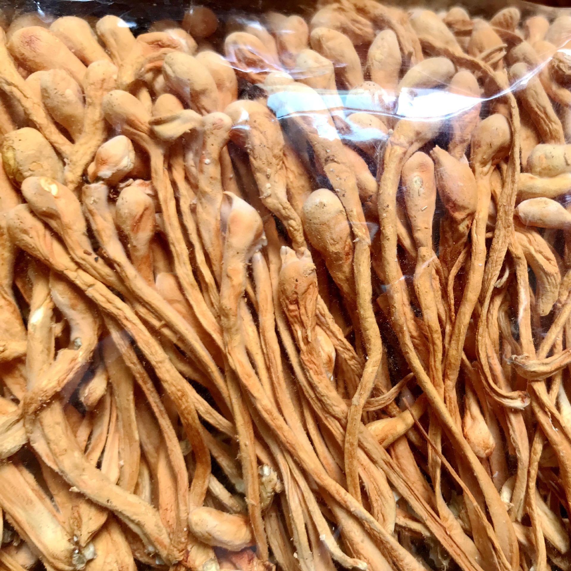 [Factory Direct Sales] Cordyceps Flower New Arrival Bulk Wholesale Spore Cordyceps Flower Dried Goods 500g Cordyceps Cordyceps Militaris