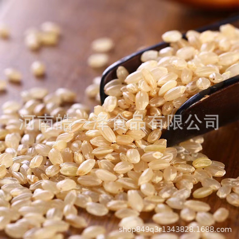 Low temperature baking brown rice whole grain grinding raw material new rice farm coarse grain factory wholesale cooked brown rice