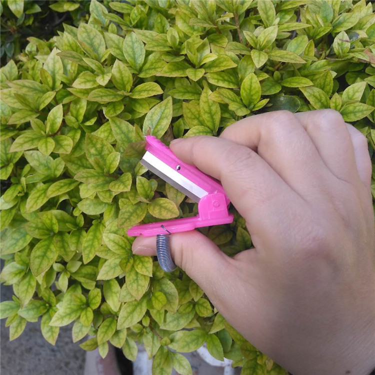 Vegetable Picker, Fruit Picker, Grape Pruner, Leaf Remover, Small Pruning Knife