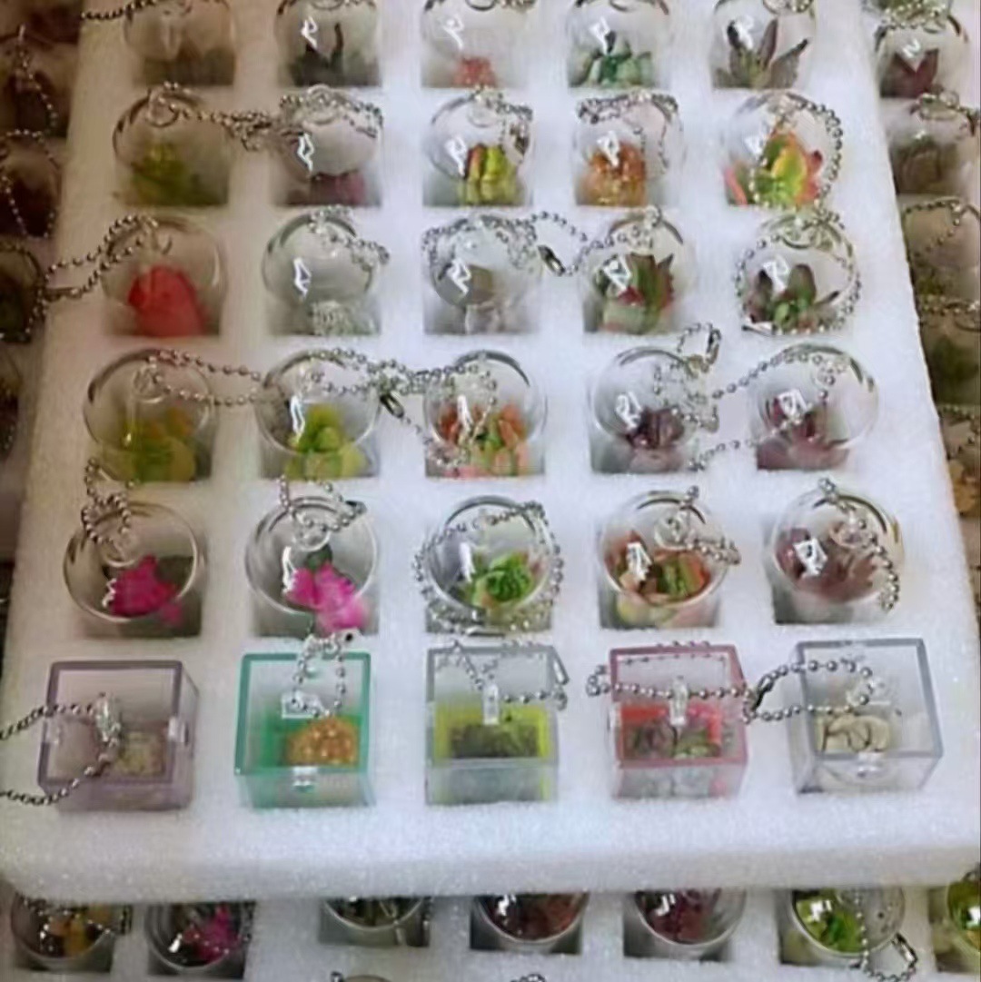 Creative Succulent Keychain Pendant Miniature Plant Miniature Landscape Student Gift