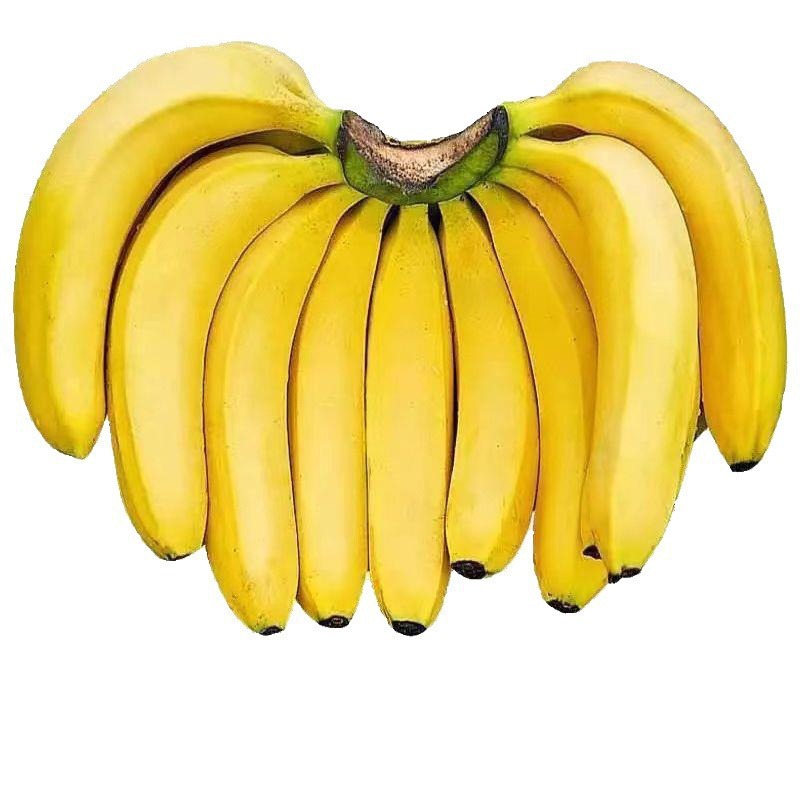 Banana Wholesale Thin-Skinned Fresh Whole Box Seasonal Free Shipping Banana Fresh Fruit
