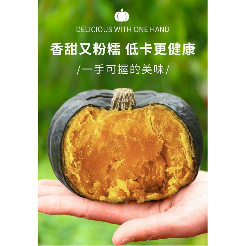Zhenbeibei Pumpkin 2.5kg Chestnut Flavor Baby Food Vegetable Fresh Japanese Old Fan Beibei Small Pumpkin 1 Jin 1.5kg