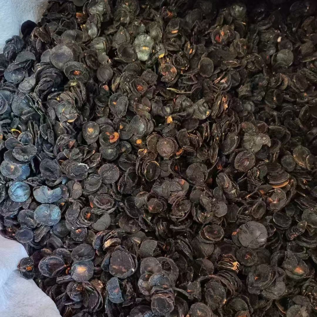 Оптовая целлюлоза от запоров новинки Мьянма крупные плоды рога дерева, колбаса дерева, нектарин, киви из Непала, прямая поставка от производителя