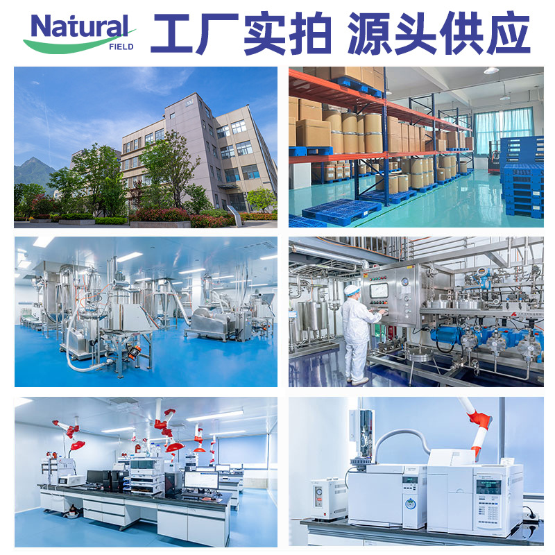 Nad Powder Β-Niacinamide Adenoid Dionucleotide Oxidation Type Spot Can Be Exported Nad+ Raw Materials