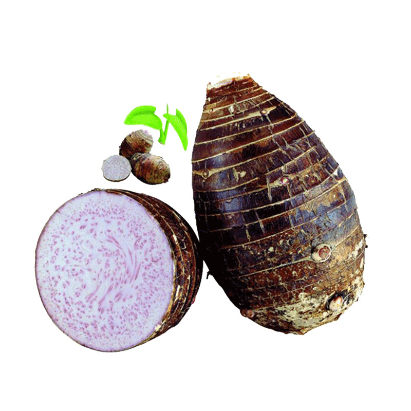 Authentic Guangxi Lipu Taro, Freshly Dug Betel Nut, Large Fragrant Taro, Free Shipping, Farm Taro, Guilin Specialty Vegetables