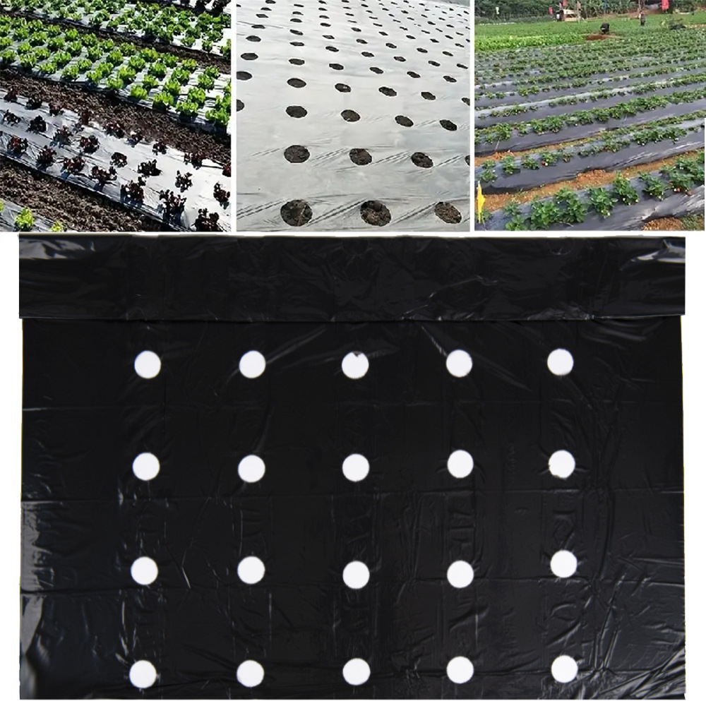 Plastic Thermal Insulation Film Agricultural Black Film with Holes Plastic Film for Herding and Thermal Insulation Planting Film Exported to South Korea in Japan