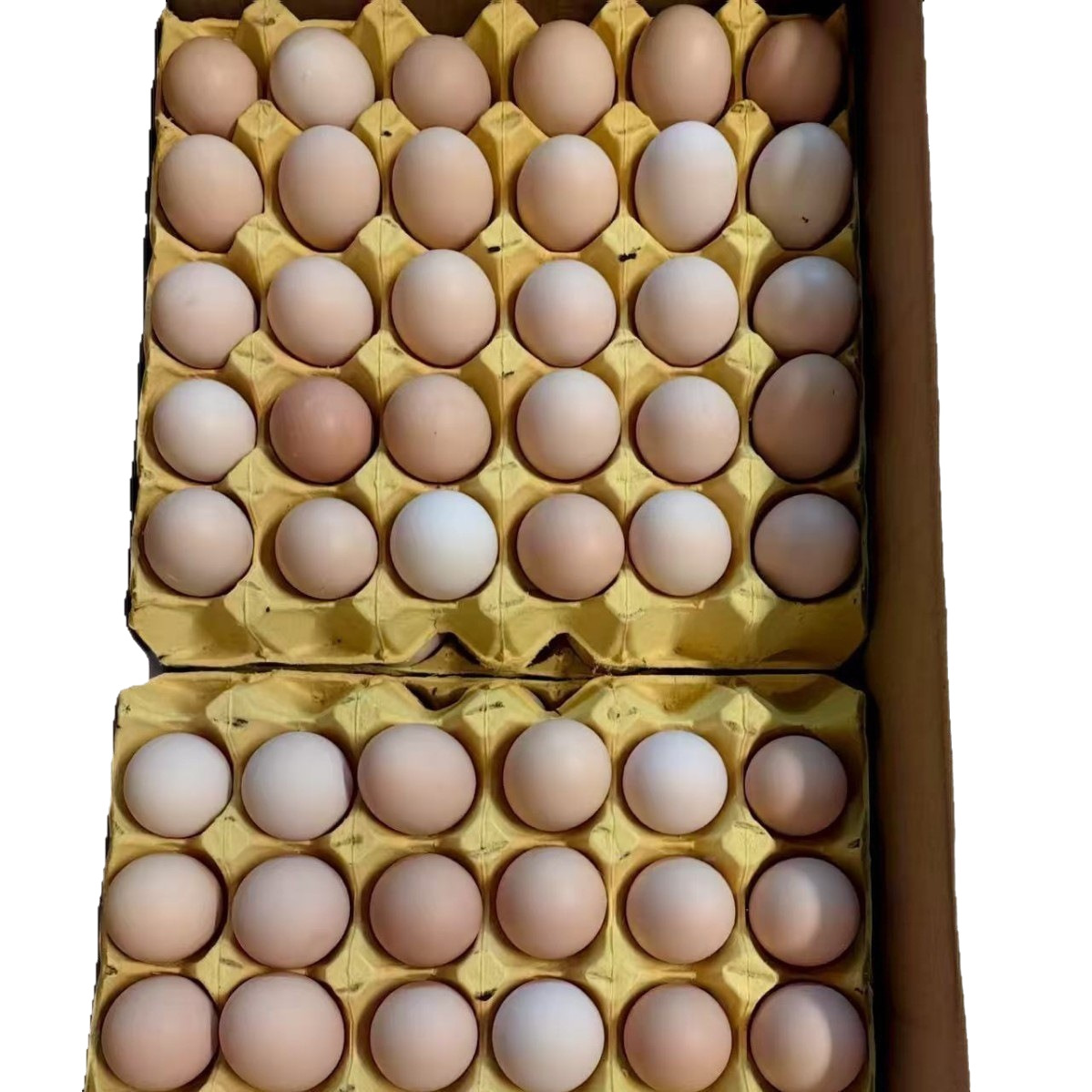 Wholesale Fresh Farm-Raised Free-Range Eggs, Grass-Fed Eggs, Free-Range Eggs, Pink-Shelled Eggs, Fresh Eggs, Firewood Eggs, Grain Eggs