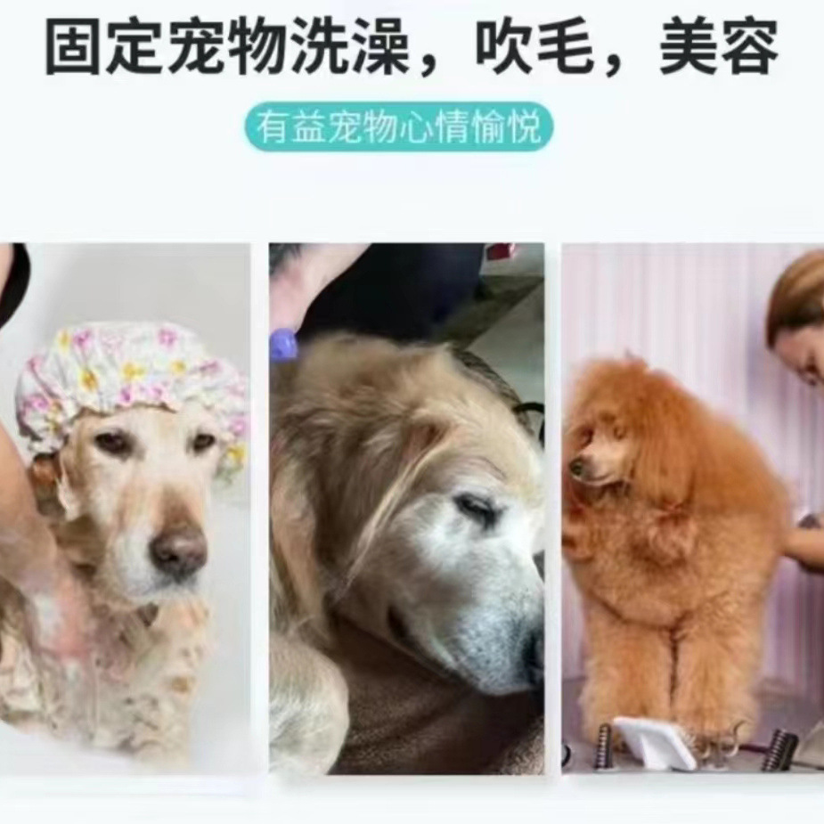 Pet Beauty Hanging Rope Lanyard Beauty Table Hanging Rope Dog Cat Bathing Fixed Rope Steel Wire Beauty Rope Suction Cup