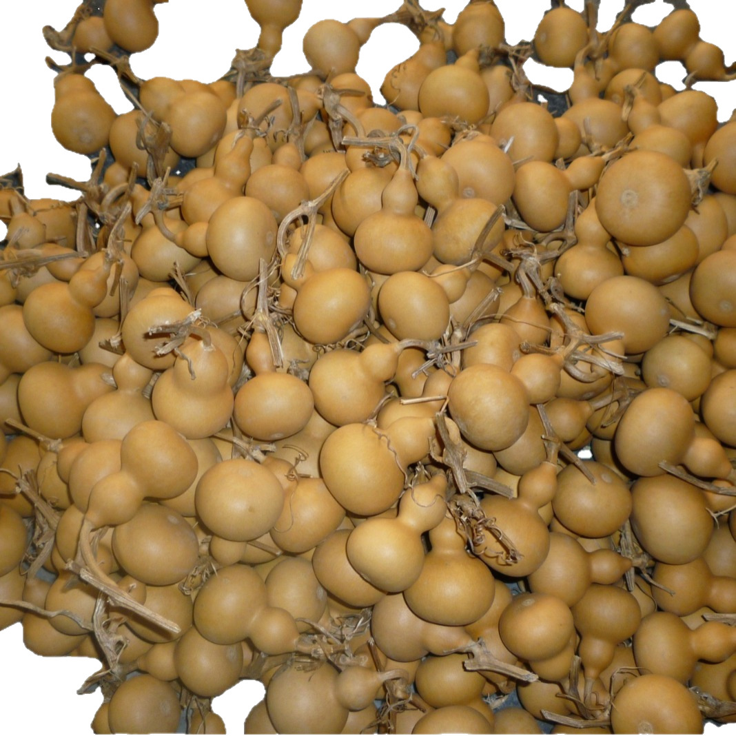 Liaocheng planting base wholesale small gourd hand twist gourd gourd text play craft small gourd