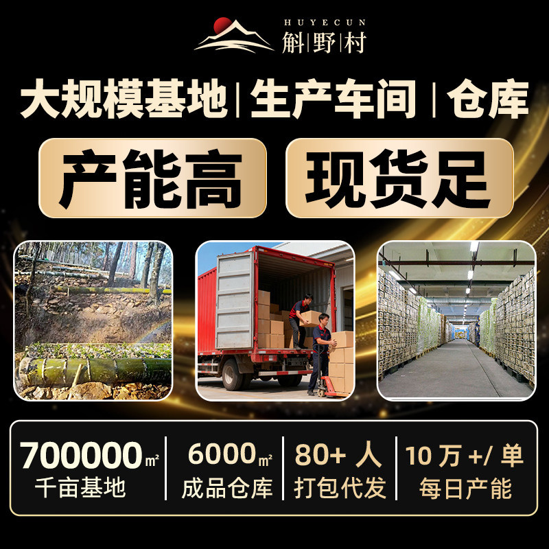 Authentic Dendrobium Officinale Inch Dendrobium Inch Gold Wholesale Dendrobium Officinale Seedlings Powder Dry Strips Fresh Strips Scraps Dendrobium Officinale