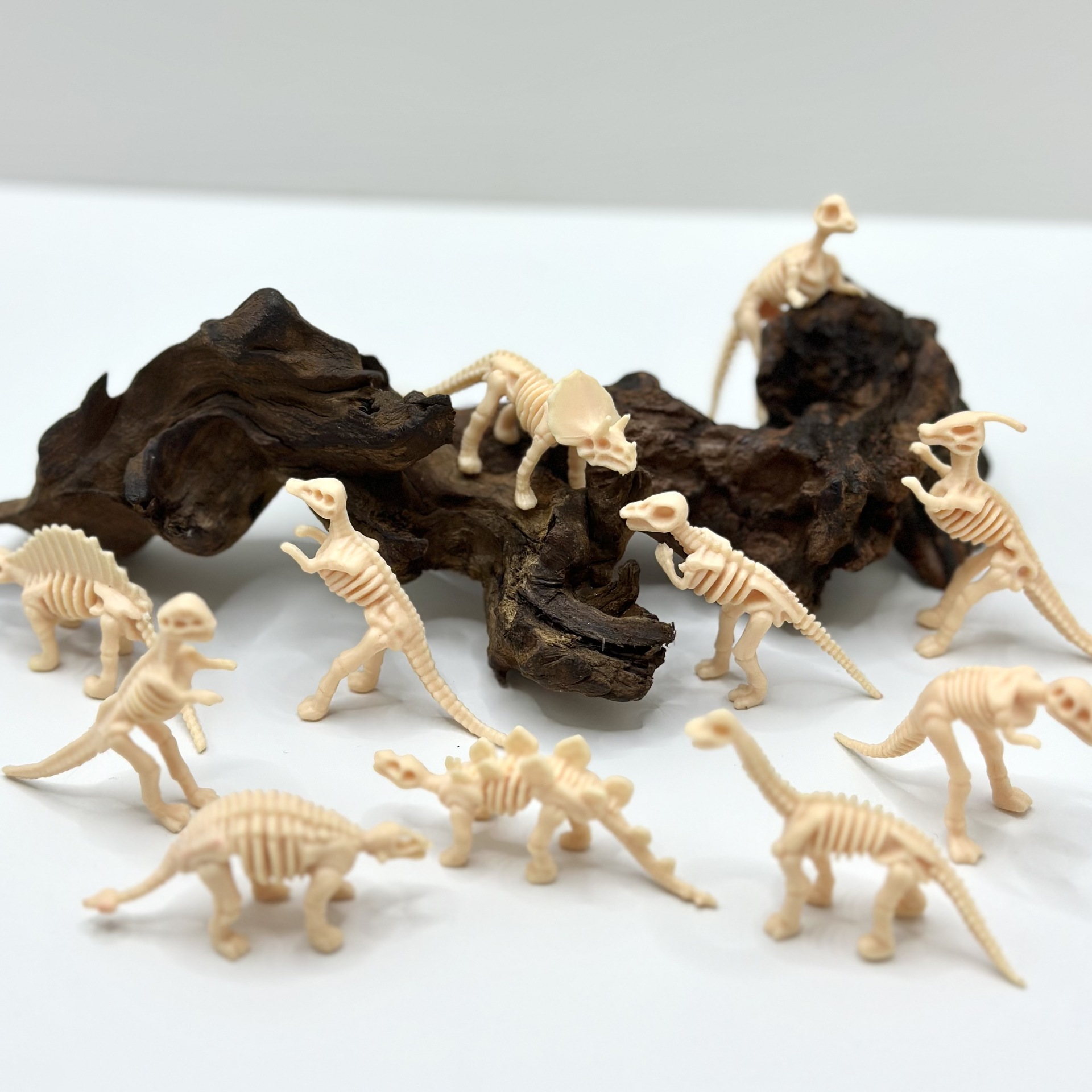 Archeological toy dinosaur skeleton model dinosaur fossil archeological mini Dinosaur digger toy accessories wholesale