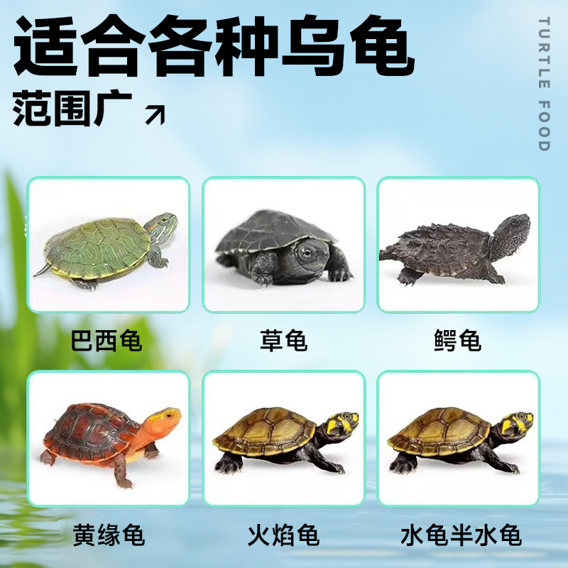 Turtle Feed High Protein Turtle Food Snapping Turtle Money Turtle Food Universal Particles Fish and Shrimp Breadworm Dried Turtle Open Food