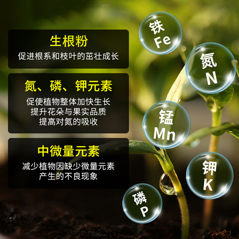 25g Rooting Powder Universal Seedling Strengthening Agent Succulent Pothos Flower Cutting Powder Fast and Powerful Rooting Powder