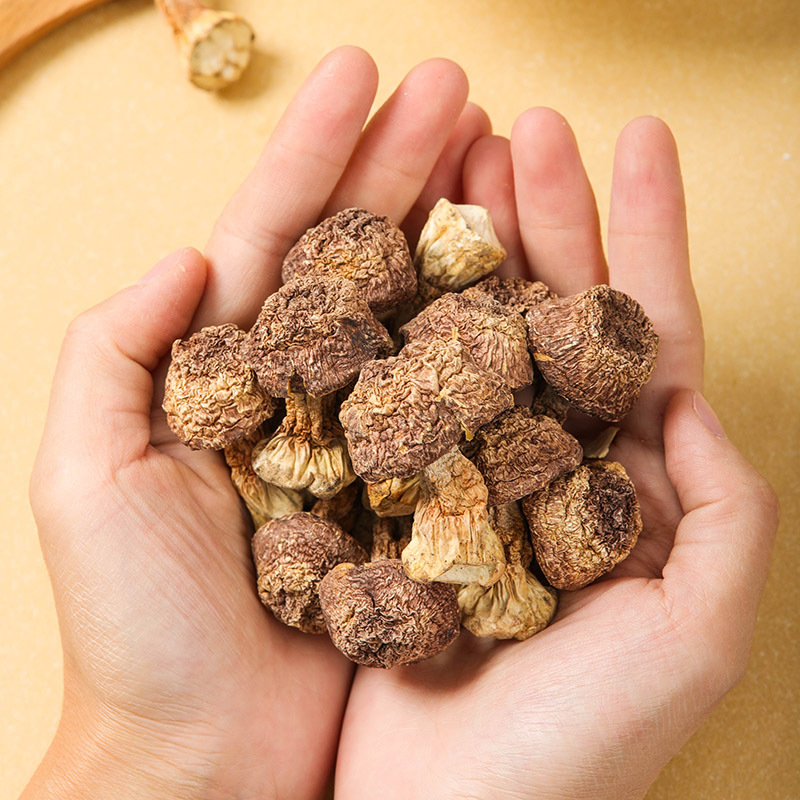 Ишэньюань, Агарикус блазеи, богатые селеном, сушеные бразильские грибы оптом, товары первого сорта