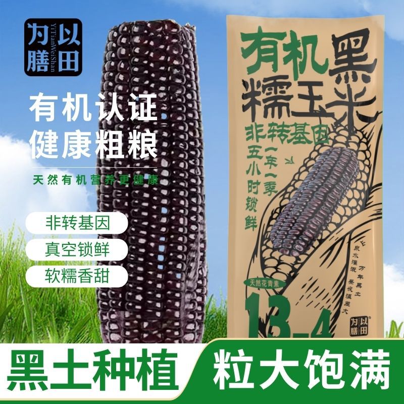 Yellow Corn, Black Corn, Organic Corn, Fruit Corn, Northeastern Waxy Corn, Fresh Corn, Sweet Corn, Ready-To-Eat Corn