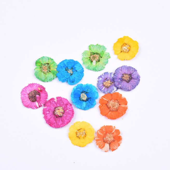 Daisy Color Hibiscus Flower Small Chrysanthemum Drop Glue Dried Flower Mobile Phone Shell diy Embossed Flower Accessories Baffle