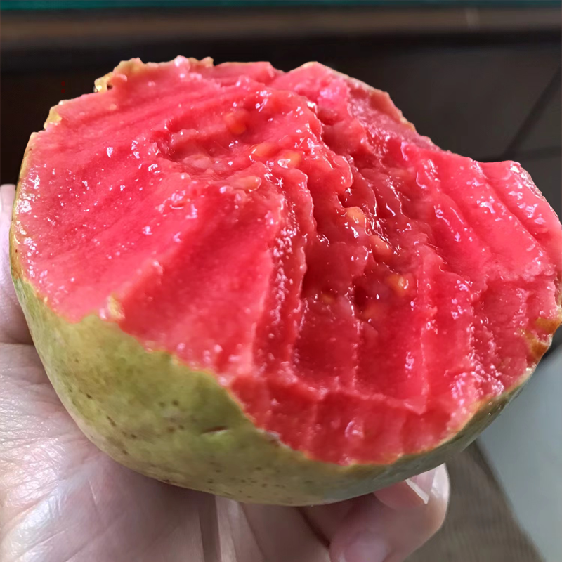 Sf/Jingdong Free Shipping Fujian Zhangzhou Red Heart Guava Fruit 2.5kg Soft Heart Glutinous Guava Fruit Whole Box Fresh