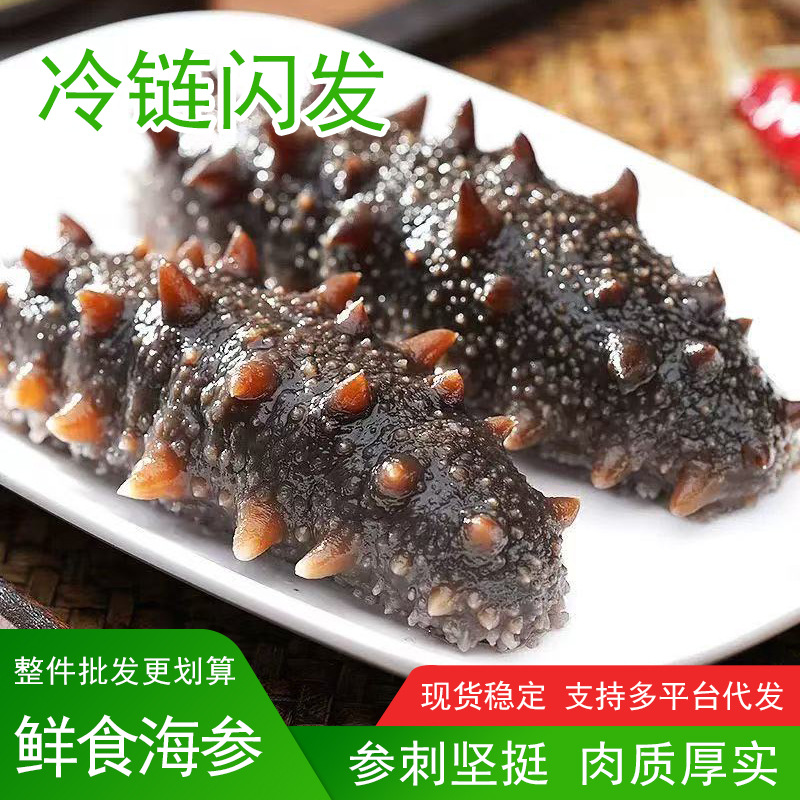 Популярный готовый к употреблению морской огурец, не сушеный, свежий морской огурец для коммерческой оптовой продажи, индивидуально упакованный свежий морской огурец