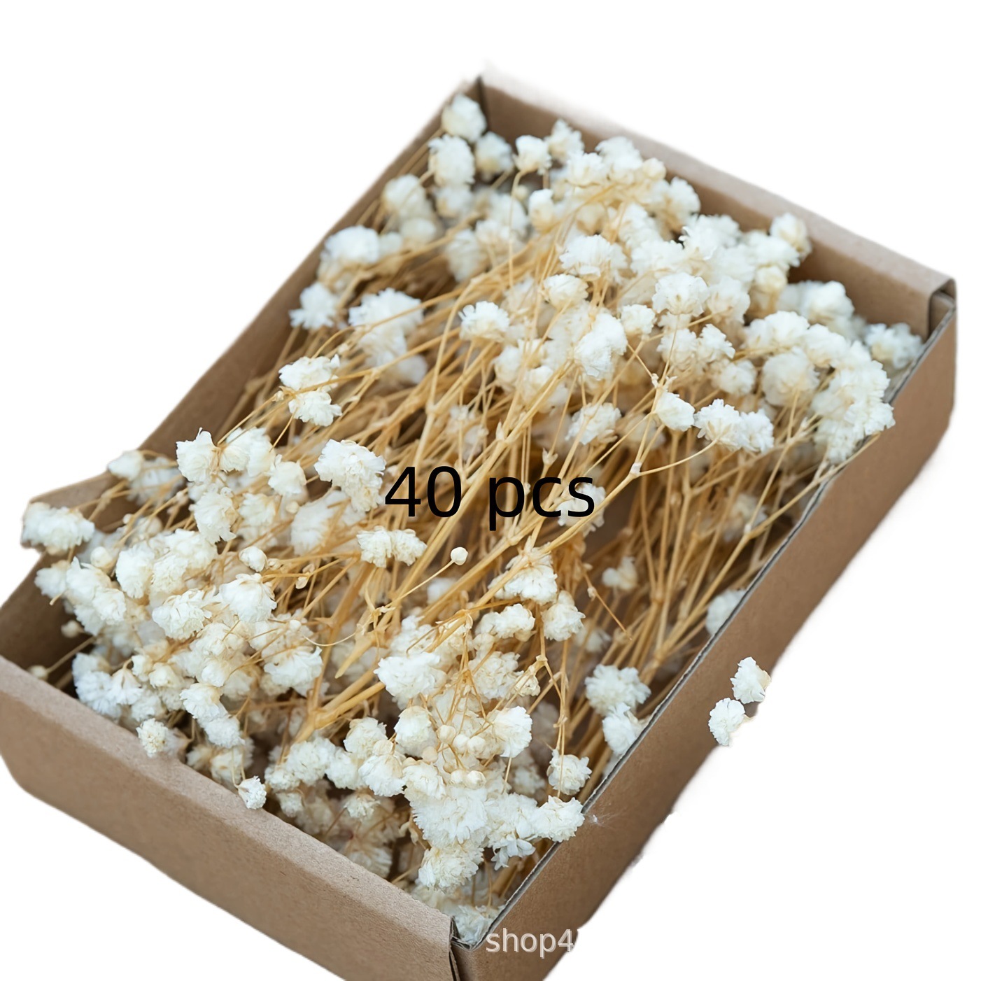 [Retro Air-Dried Flower Material] Short Branch Real Plant Specimen Photo Frame DIY Floral Handmade Hydrangea European Style Leaves