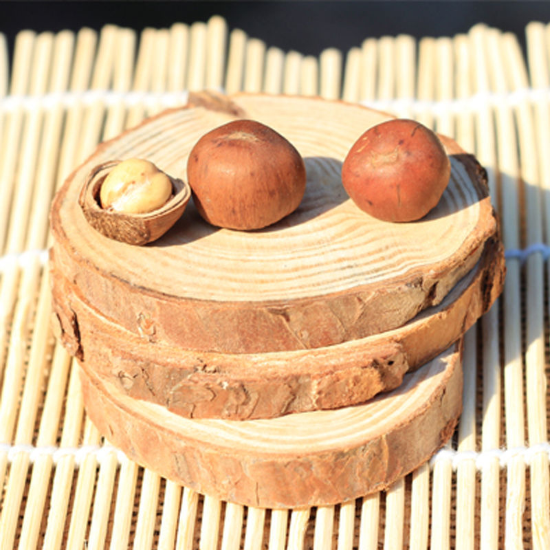 Raw Hazelnuts, Wild Hazelnuts, Northeast Specialty Hazelnut Nuts, Free Shipping, Wild Flat Hazelnut Nuts