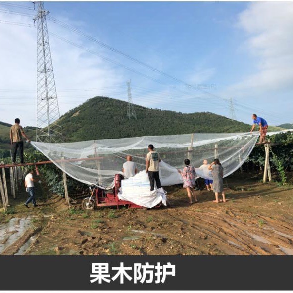 Бренд Yihao Mei Кросс-граничные поставки двойной полиэтиленовой плетеной сетки треугольная сетка от града для горных садов