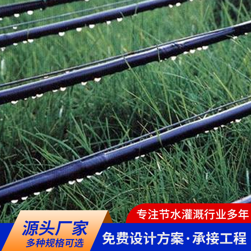 Agricultural black double-hole drip irrigation belt greenhouse vegetable field drip irrigation water-saving irrigation 16mm patch drip irrigation belt