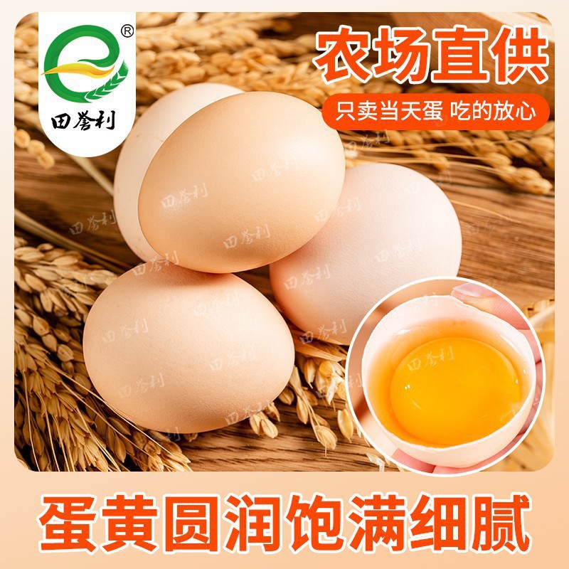 Authentic Free-Range Farm Eggs, Large Size, Red Yolk, Fresh Eggs, Whole Box