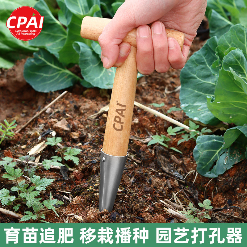 Seedling Transplanting and Fertilizing Tool, Stainless Steel Wooden Handle Hole Puncher, Seed Planting Device, Garden Succulent Seedling Hole Puncher