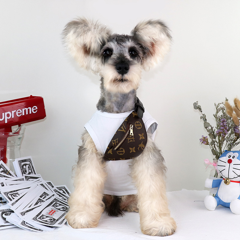 Cross-border foreign trade pet cat small dog dog self-bag messenger bag pet accessories