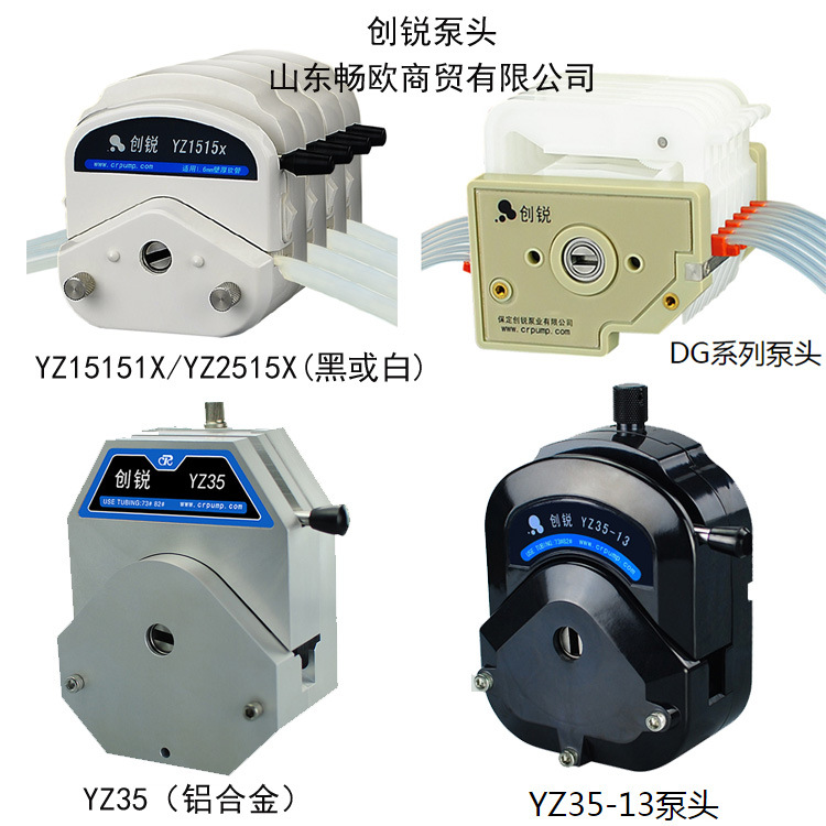 Chuangrui Peristaltic Pump Pump Head Yz2515X/Yz1515X/Kz25/Yz35/Yz35-13/Dg Series Kz35