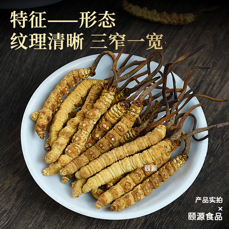 Freeze-Dried Cordyceps Sinensis in the First Time, High Altitude, Dry Cordyceps, Whole Unbreakable Grass, Full Specifications Factory Wholesale