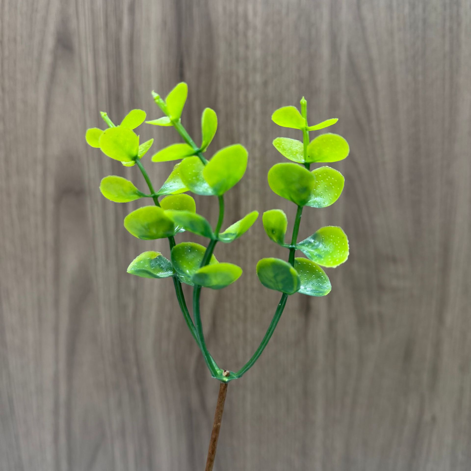 Manufacturer Wholesale Simulated Green Plants, Love Eucalyptus Leaves Decoration, Simulated Flowers, Handmade Simulated Green Plants and Aquatic Plants Accessories