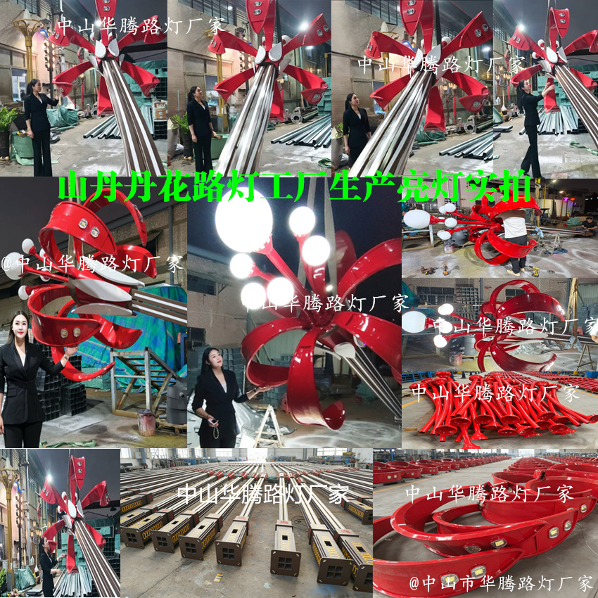 Manufacturer Customized Shan Dandan Flower Street Lamp Chinese Lamp Square Magnolia Lamp 8.1m High Pole Road Lighting Lamp