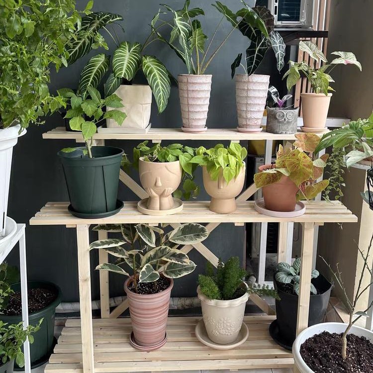 Carbonized Solid Wood Flower Rack Anti-Corrosion Wood Multi-Layer Outdoor Storage Rack Living Room Floor-Standing Succulent Pothos Flower Pot Plant Rack