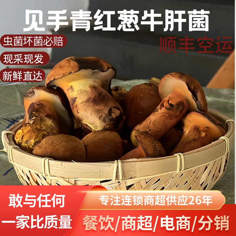 Свежие юньнаньские зеленые и красные луковые грибы, популярные дикие грибы, искусственно выращенные съедобные грибы