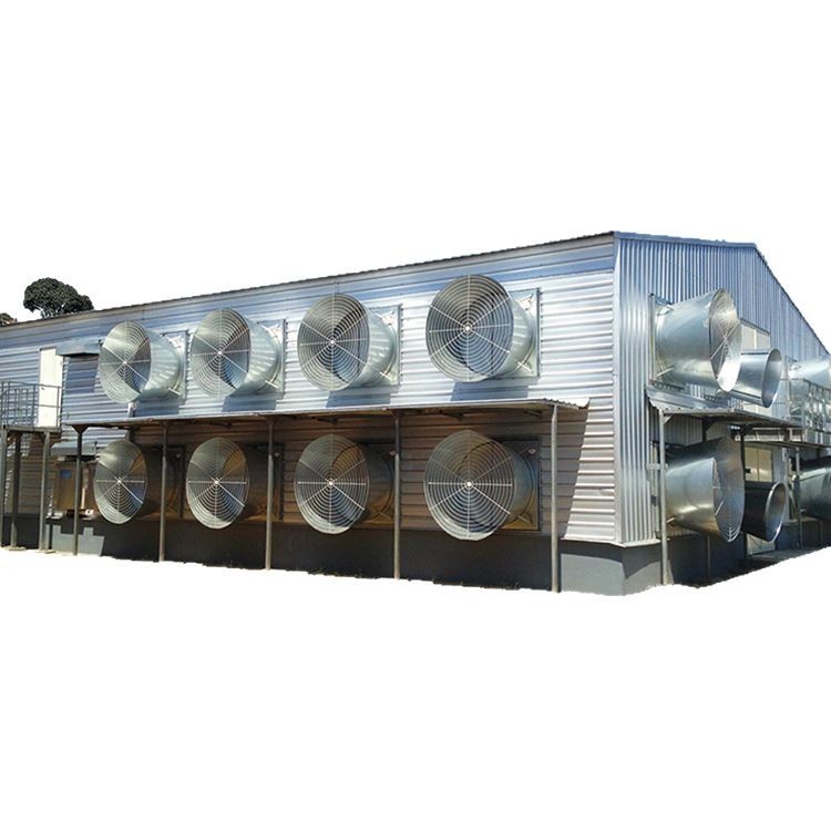 Steel Structure chicken coop export production steel structure frame firm Stable Farm new chicken coop pig coop