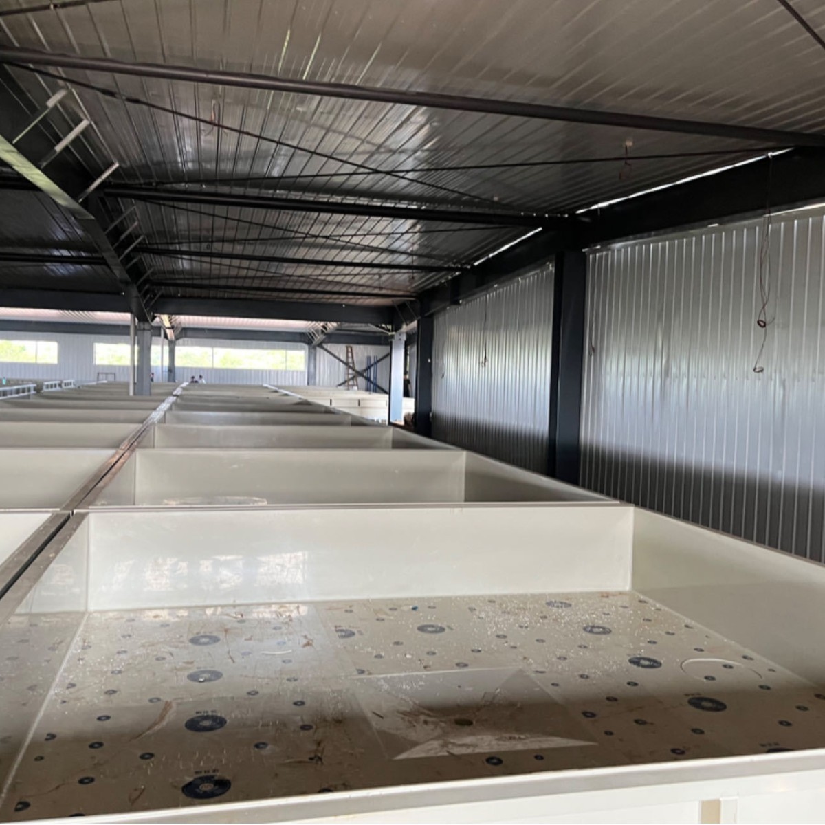 Jiaberry Pp Pe Breeding Pond Fish Pond Is Environmentally Friendly, Non-Toxic, Corrosion-Resistant and Has a Long Service Life