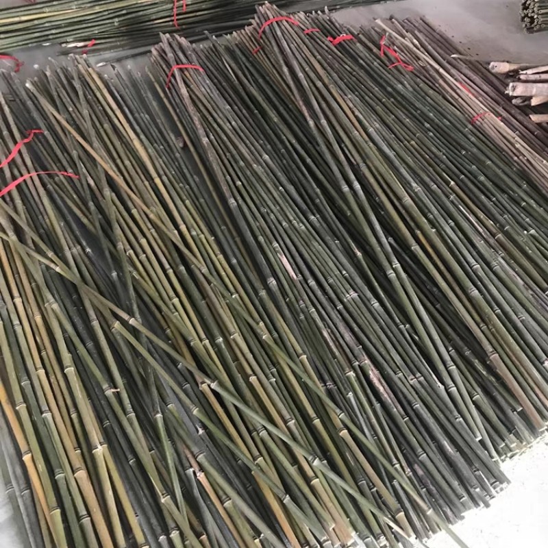 Spot large bamboo vegetable garden rack fine bamboo pole flagpole garden decoration decoration thick bamboo pole wholesale bamboo fence