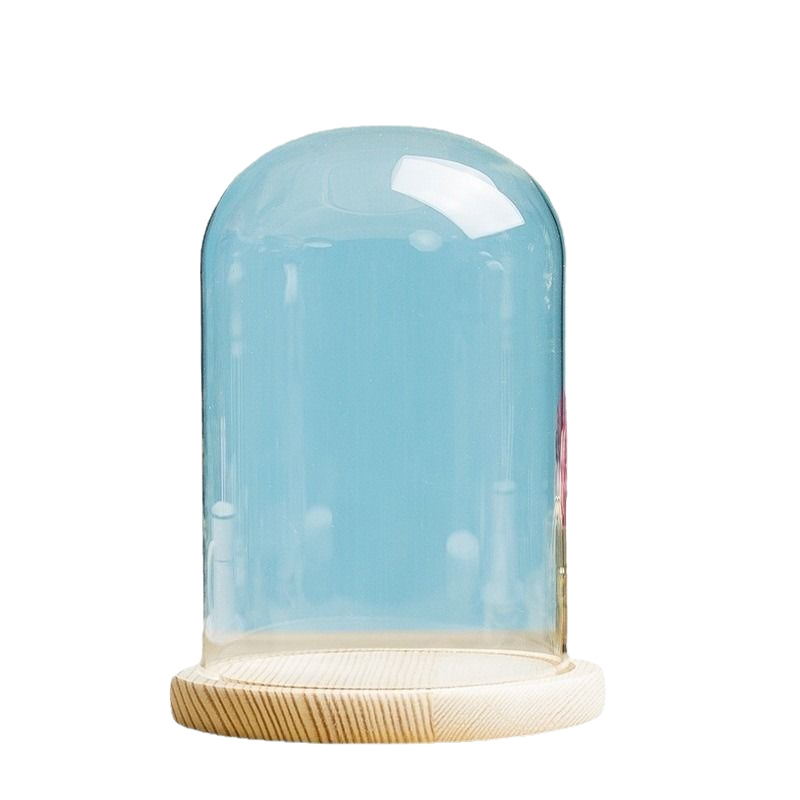 Wholesale all kinds of PET transparent ornaments eternal flowers Christmas decorative lampshade dust-proof fresh-keeping blown LED lampshade