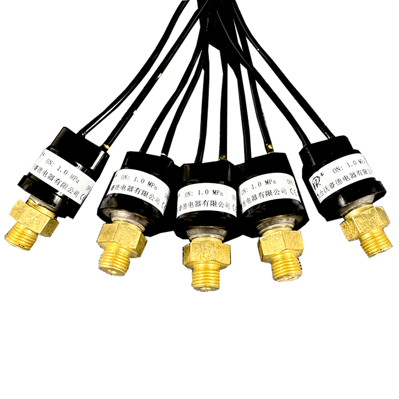 River Valley Electric Lubricant Pump Pressure Switch Sensor Ps-1008 Proton Pressure Detection Switch Controller