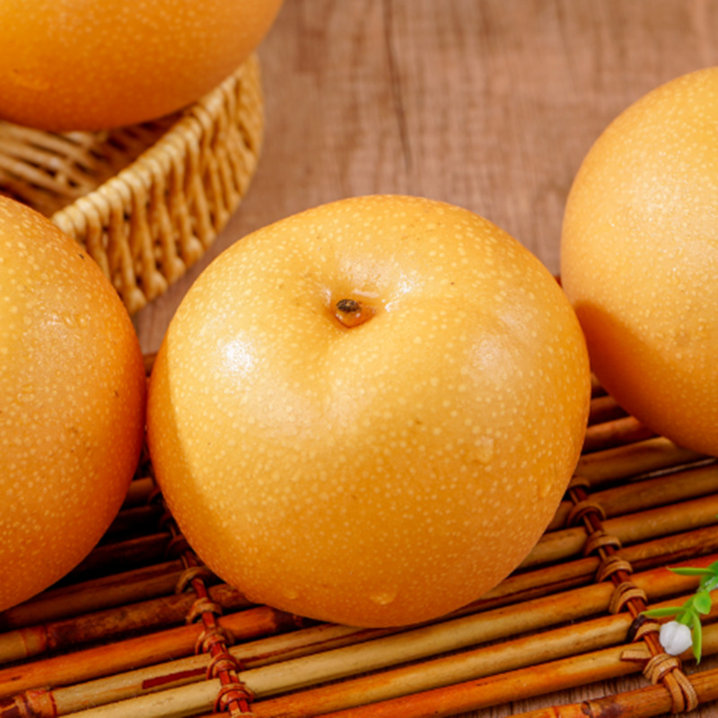 Wholesale Laiyang Qiuyue Pear Fresh Fruit 2.5kg Crisp, Sweet and Juicy Seasonally Picked Whole Box Rock Sugar Shandong Qiuyue Pear