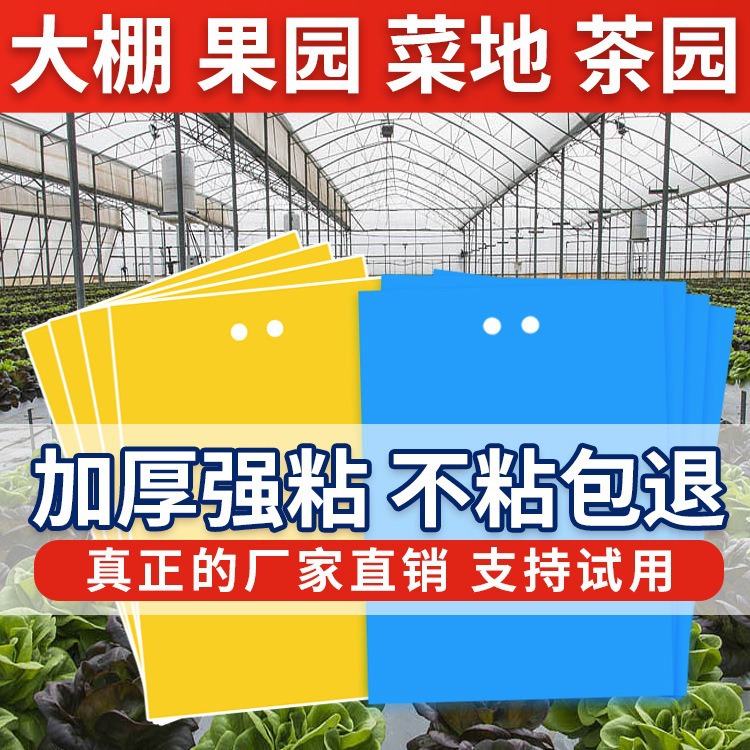 Желтая двусторонняя липкая ловушка для насекомых, специальная для теплиц, трипсов, мелких черных насекомых, садов, садов с чаем и цветов