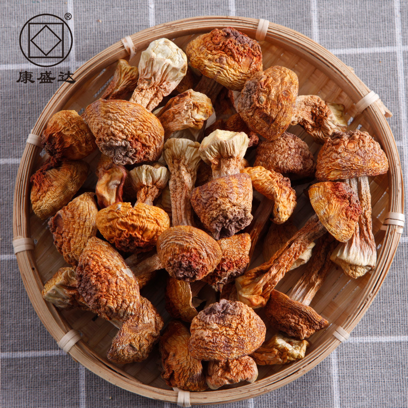 Gutian Agaricus Blazei Mushroom Dry Goods 250g Fresh Matsutake Mushroom Specialty Brazilian Mushroom Mushroom Ingredients Mushroom New Goods in Season