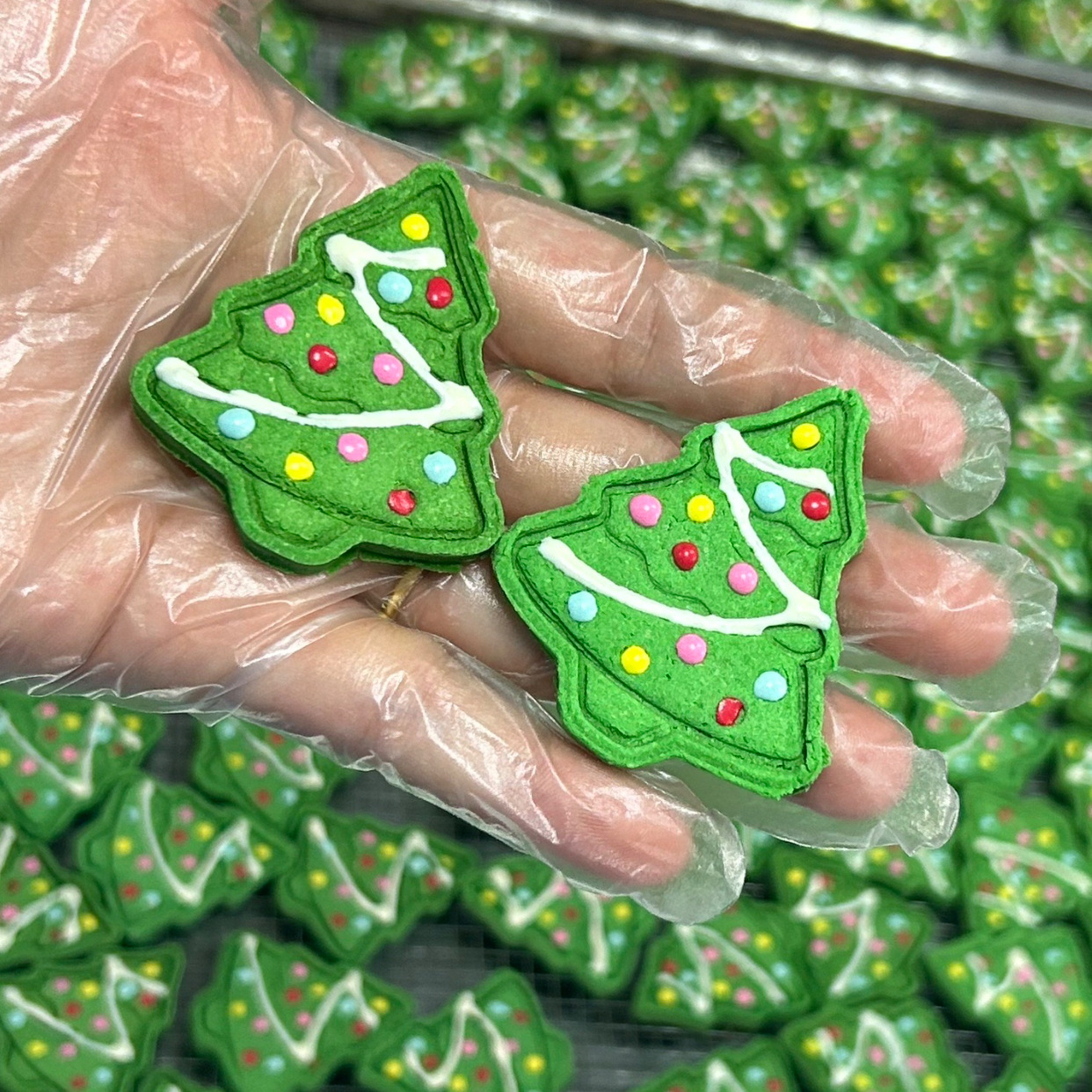 Pet Christmas Tree Cookies Chicken Cat and Dog Snacks Meal Hamster Teething Cookies Christmas Pet Cookies Wholesale