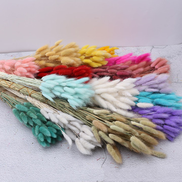 60pcs factory wholesale rabbit tail grass dried flower bouquet ins natural air dried real flower dog tail grass dried flower decoration