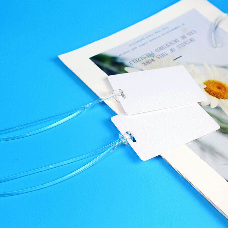 Spot environmentally friendly PVC transparent rope outbound luggage card lanyard boarding pass lanyard hanging rope cross-border exclusive