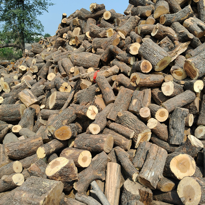 Jujube Wood Firewood for Outdoor Barbecue Camping, Landscape Decoration, Hardwood for Burning, Durable Firewood for Grilling, Roasting Duck, Fruit Wood